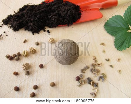 Seed ball or seed bom with flower seeds