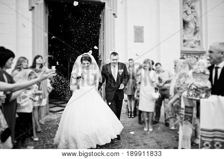 Happy Wedding Couple Walking Under Colored Rice Which Is Thrown Away Guests. Black And White Photo.