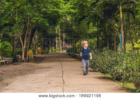 A Boy Walks In A Tropical Park