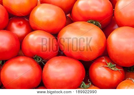 Deliciou red tomatoes. Summer tray market agrigulture farm.