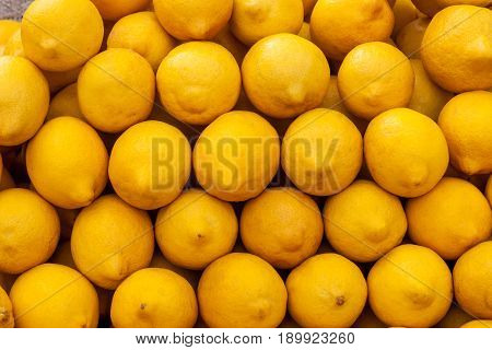 Colorful displaes of lemons in farm market