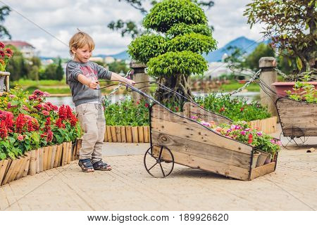 Child Pushing Wheel Trolley In The Garden. Sweet Little Toddler Boy Playing With Wheelbarrow On Back