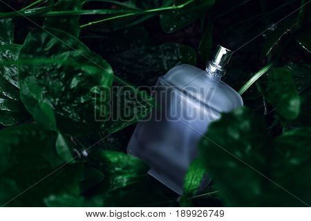 stylish male bottle of perfume over green