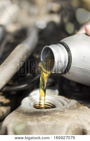 Poured engine oil to the car engine.  The mechanic exchanges the oil in the car