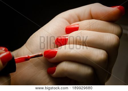 Manicure - Beautiful manicured woman's nails with red nail polish