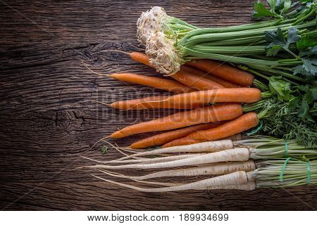 Carrot parsnip celery. Celery carrot and parsnip on rustic oak table