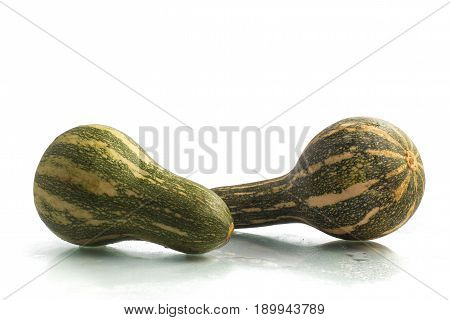 Goianinha Pumpkin. Cucurbita Moschata