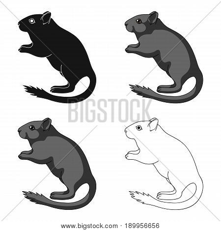Gray gerbil.Animals single icon in cartoon style vector symbol stock illustration .