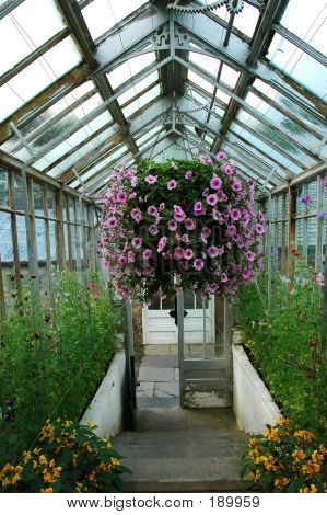 Serra con Hanging Basket