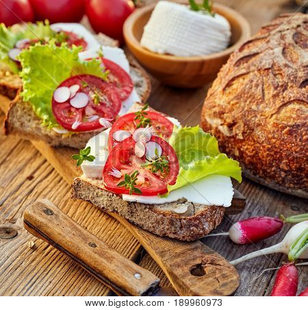 Vegetarian sandwiches with addition of cheese, tomato, radish and lettuce on a rustic wooden table