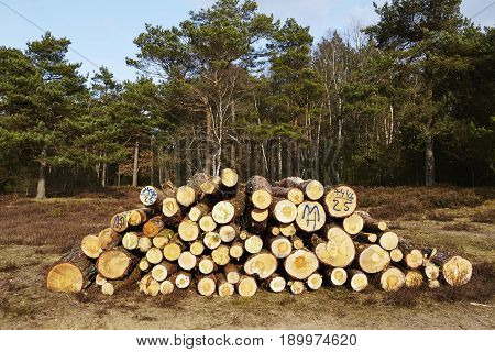 Forestry - Pile Of Tree Boles