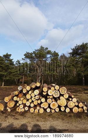 Forestry - Pile Of Tree Boles