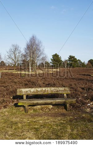 Bench Into Heathland In Spring
