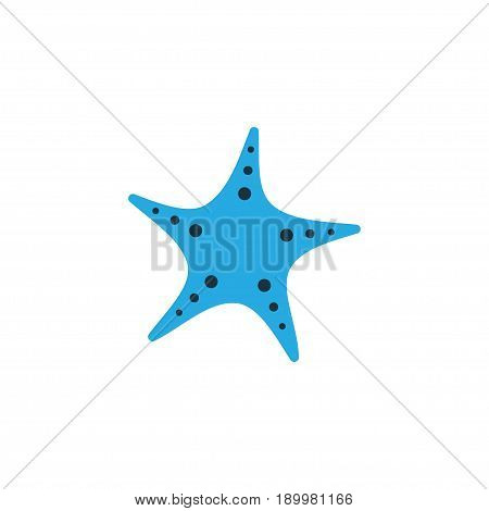 Sea Star Colorful Icon Symbol. Premium Quality Isolated Starfish Element In Trendy Style.
