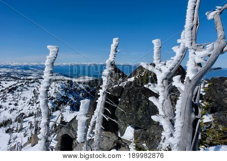 Frosty trees on mountain top. Blue sky rocks and frost. Icicle ridge summit. Cascade Mountains. Seattle. Leavenworth. Washington. United States.