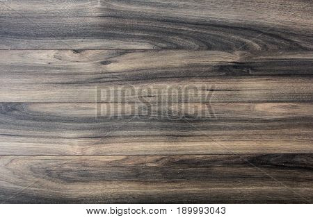 oak tree texture bacground close up textured