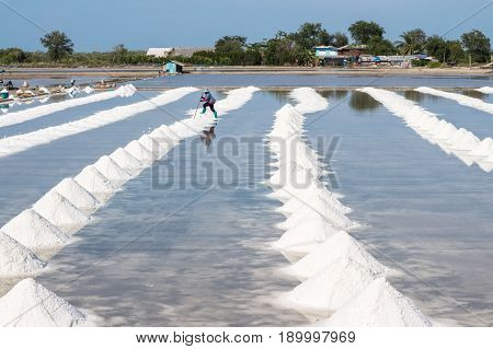 Heap of sea salt in original salt produce farm make from natural ocean salty water preparing for last process before sent it to industry consumer.It is made in Thailand