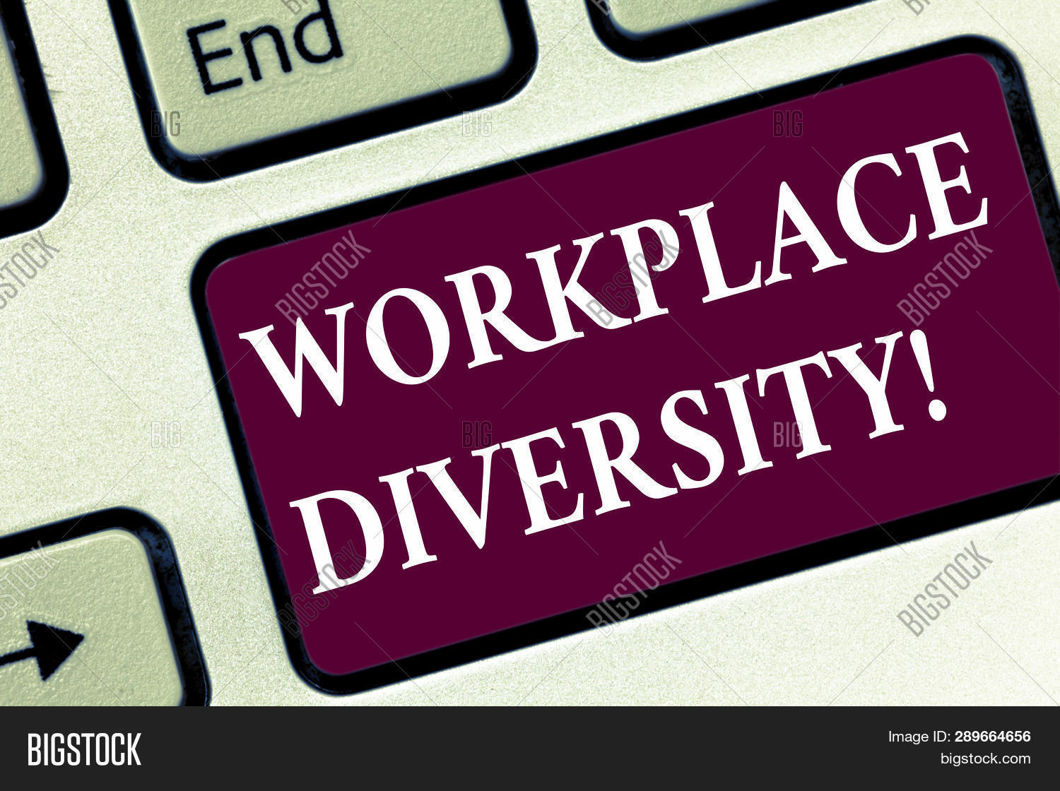 Diversity Meaning Workplace >> Handwriting Text Image Photo Free Trial Bigstock Diversity Meaning Workplace >> Handwriting Text Image Photo Free Trial Bigstock