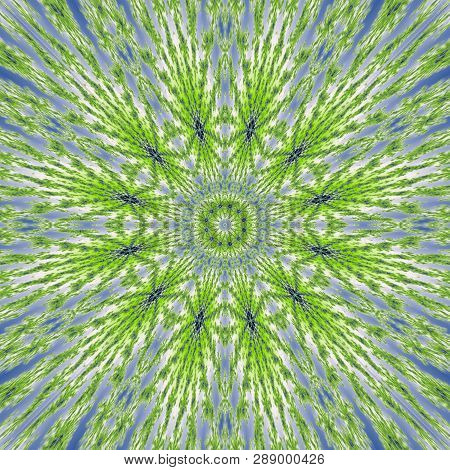 Green Star Grass Mandala With Thin Rays