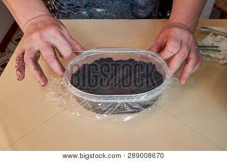 A Woman Covered A Plastic Box Filled With Earth And Seeds Of Plants And Flowers With A Cellophane Fi