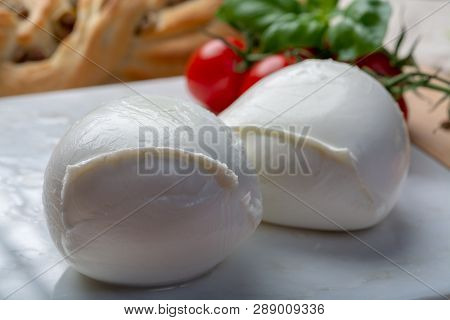Balls Of Buffalo Mozzarella, Soft Italian Scheese Made From The Milk Of Italian Mediterranean Buffal