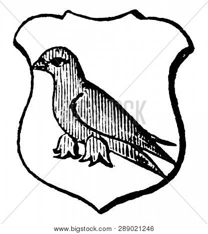 Martlet is an imaginary bird said to be without legs, vintage line drawing or engraving illustration.