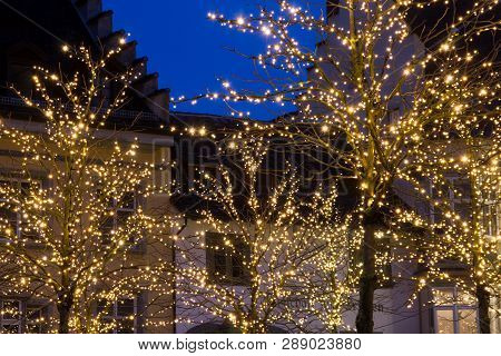 Christmas Night In Town With Lit Tree Branches