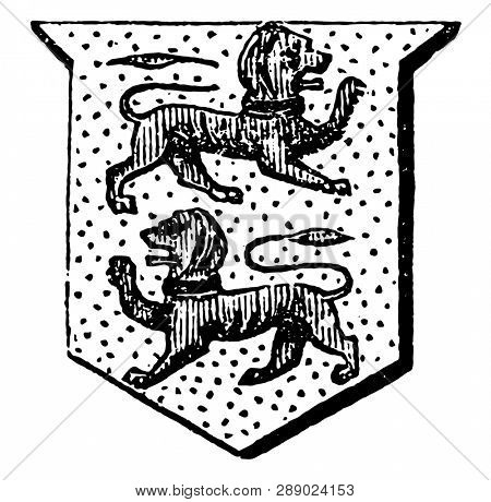Lions Counter Passant have Two animals passing the contrary way to each other, vintage line drawing or engraving illustration.