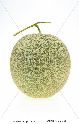 Cantaloupe Melon Isolated ..