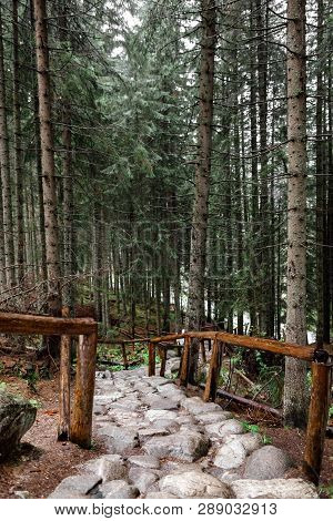 Stone Path In A Forest In The Mountains. Morske Oko, Poland, Europe
