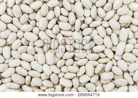 Dried White Seeds Of Beans Background. Food Groceries Product Close-up.