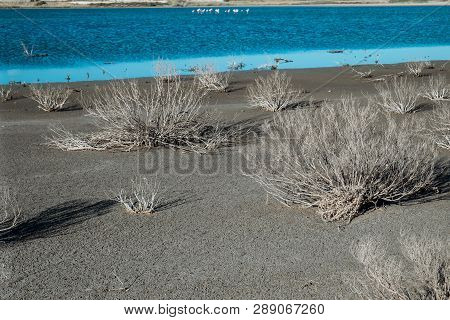 Beautiful Salt Lake In Larnaca, Cyprus. Natural Background. Landscape