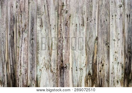 The Texture Of Weathered Wooden Wall. Aged Wooden Plank Fence Of Vertical Flat Board. Gray, Antique.
