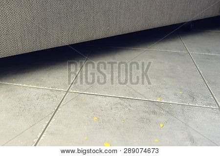 Corn Flake Crumbs On The Floor Next To The Sofa. Corn Flakes On The Floor On The Gray Tile.