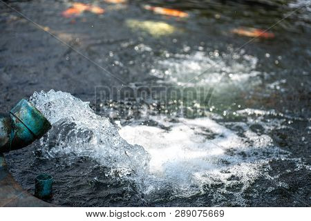 Water Flow From The Water Pump Pipe.water Gushing Out Of The Blue Pipe From Koi Pond Carp Fish Farm 