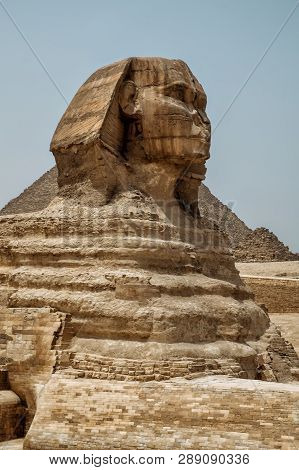 Egyptions Swinks With The Great Piramid Of Giza In The Background
