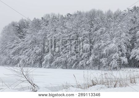 Bavarian Winter Landscape Next Next To Schwandorf, Charlottenhofer Weihergebiet