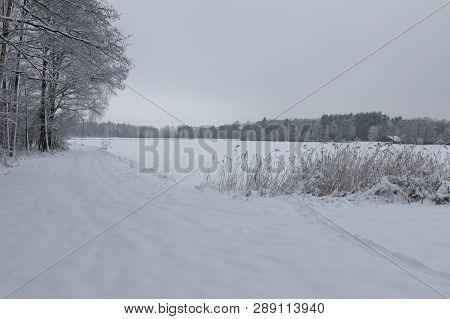 Bavarian Winter Landscape Next Next To Schwandorf, Charlottenhofer Weihergebiet