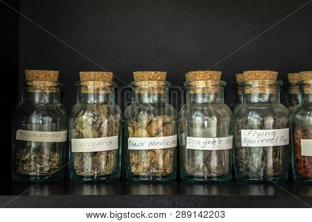 Bottles Filled With Strange Things For Chinese Herbology  - Read The Labels