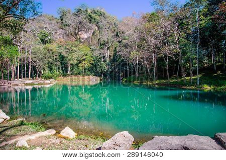 Swamp In Tham Luang - Khun Nam Nang Non Forest Park, Chiang Rai, Nort Of Thailand