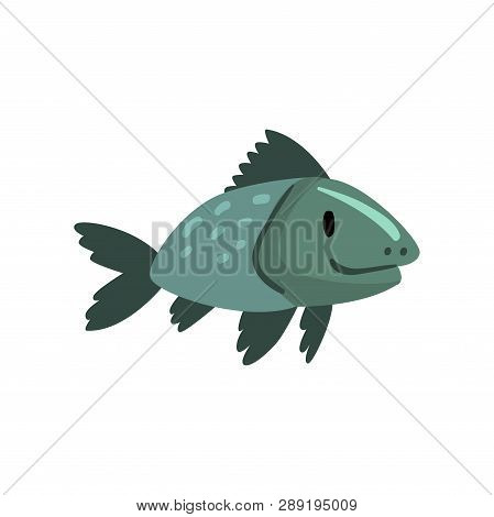 Prehistoric Fish, Biology Evolution Stage, Gradual Development Vector Illustration