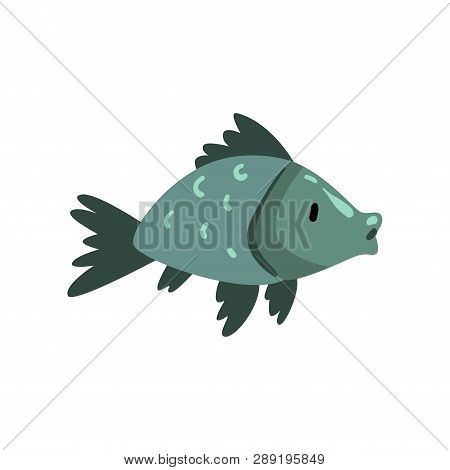 Prehistoric Fish, Biology Evolution Stage, Evolutionary Process Vector Illustration