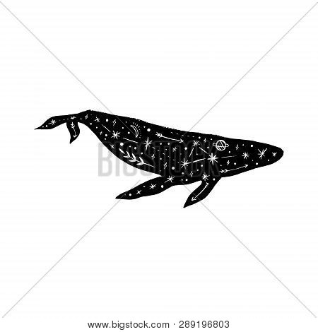 Vector Patterned Whale, Moon And Stars, Space Constellations. Beautiful Onamental Animal Print, Nort