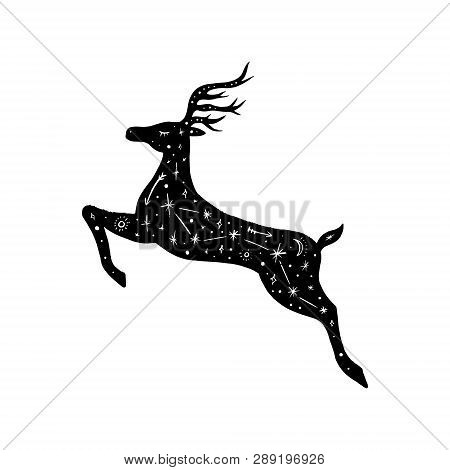 Vector Patterned Polar Deer, Moon And Stars, Space Constellations. Beautiful Onamental Animal Print,