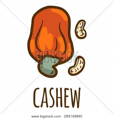 Cashew In Shell Icon. Hand Drawn Illustration Of Cashew In Shell Icon For Web Design