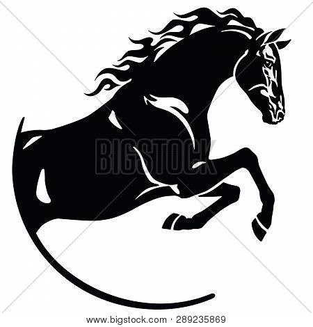 Black Stallion Horse In The Jump .black And White Logo, Emblem, Icon