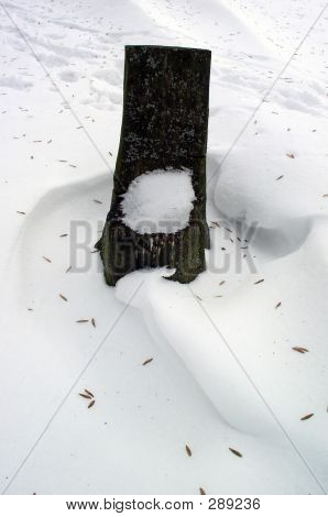 Vinter Scene
