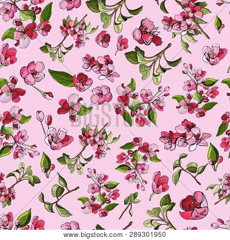 Seamless Pattern  Of Blossoming Pink  Branch Of Apple Tree And Flowers. Hand Drawn Colored Sketch  O