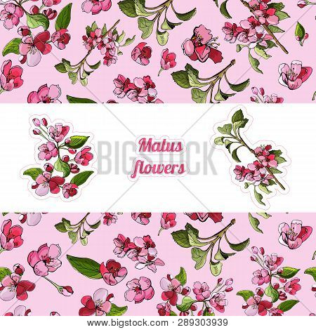 Template With Seamless Pattern And Stickers Of Blossoming Pink  Branch Of Apple Tree And Flowers. Ha
