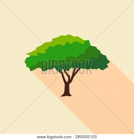 Big Savanna Tree Icon. Flat Illustration Of Big Savanna Tree Icon For Web